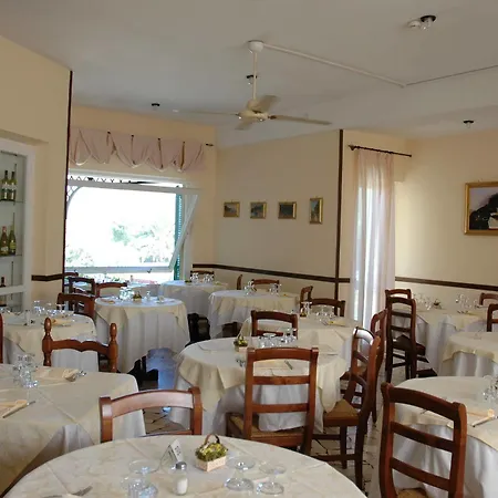 蒙娜丽莎酒店 酒店